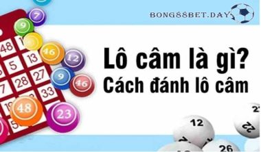 [A – Z] Lô câm là gì? Tuyệt chiêu bắt lô hay, chính xác 100%