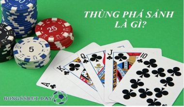 Thùng phá sảnh là gì? Bỏ túi các thông tin hữu ích A - Z