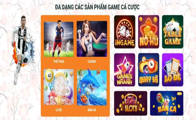 Các sản phẩm cá cược của Lixi88