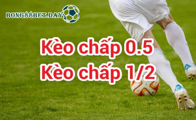 Kèo chấp 1/2 trái banh 